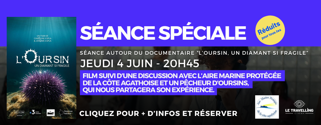 actualité OURSIN