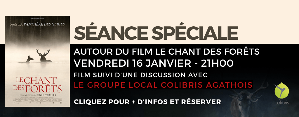 actualité soiree foret